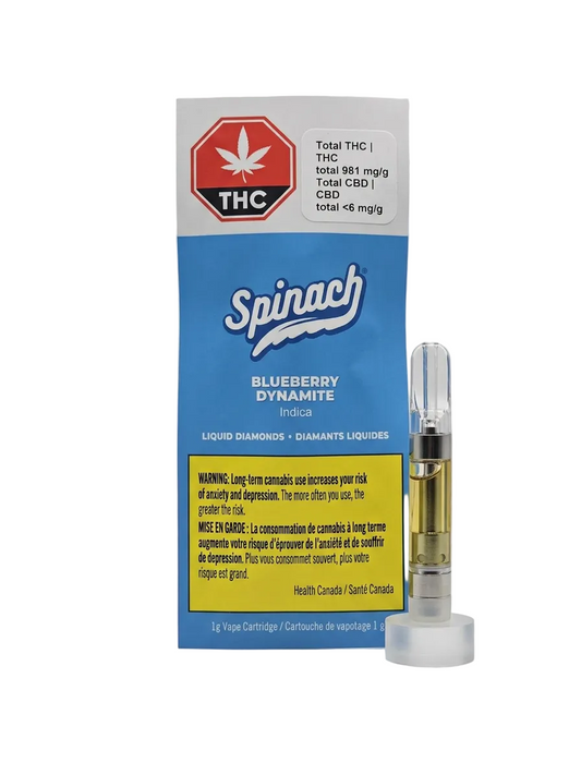 Blueberry Dynamite 1g